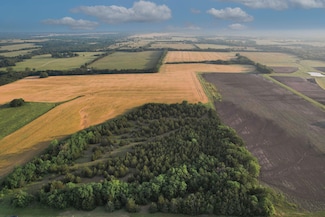 Fm 137, Roxton, TX 75477