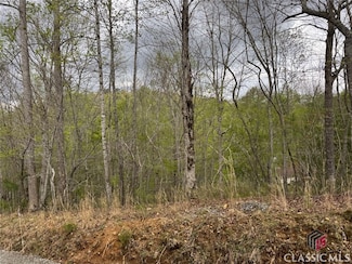 0 Aspen Ave Unit 1025047, Ellijay, GA 30536
