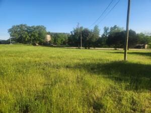 Tract 2 Castleberry, Lamar, AR 72846