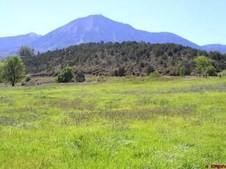 0 Harding Rd Unit 701097, Paonia, CO 81428