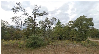 0 Esmont, Chipley, FL 32428