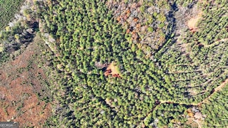 0 Cold Springs Rd Unit 10645689, Pine Mountain, GA 31822