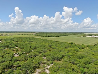 2913 County Road 208, Hobson, TX 78117