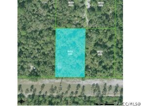 11049 N Clamdigger, Inglis, FL 34449