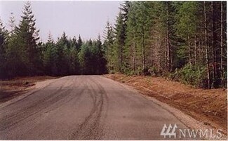 0 Benson Ridge Bla 06-21 Unit 1330336, Grapeview, WA 98546