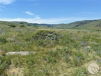 TBD Rendezvous Trail, Livingston, MT 59047