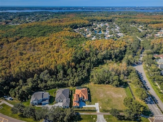 4445 Lansbrook Pkwy, Palm Harbor, FL 34685