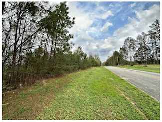 Tract#6201 8 Mile Cemetery Rd Unit 2, Defuniak Springs, FL 32433
