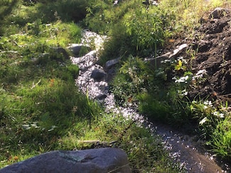 County Road 117, Alto, NM 88312