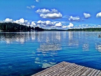 1110 E Mason Lake Dr S, Grapeview, WA 98546