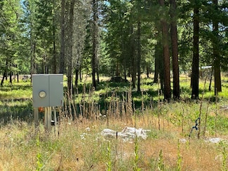 3741 N Deer Lake Rd, Loon Lake, WA 99148