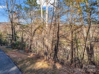 167 Firefly Point, Lake Lure, NC 28746