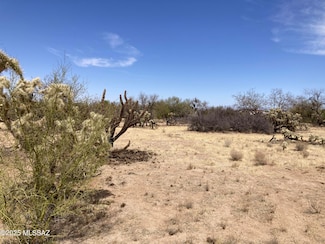 11211 S Chumblers Place Unit 159, Three Points, AZ 85736