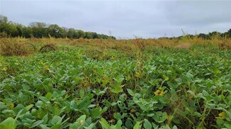 00000 Ungeheuer Rd, Prescott, KS 66767