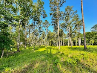 Tract 3 Fm 2261, Shelbyville, TX 75973