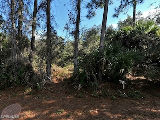 0 Kenoska St Unit 225037744, North Port, FL 34288