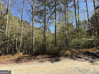 0 Heritage Way Unit 10633723, Ellijay, GA 30540