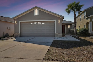 8133 Canterbury Lake Blvd, Tampa, FL 33619