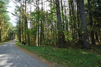 0 Furnace Rd, Richmond, MA 01254