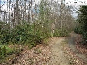 XX Red Clover Rd, Beech Mountain, NC 28604