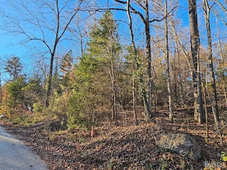 Lot 5 Blk 1 Carter 133, van Buren, MO 63965