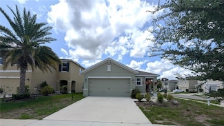 3503 Diamond Leaf Ct, Valrico, FL 33594
