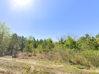 0 Brisson Rd Unit 23667662, St. Pauls, NC 28384