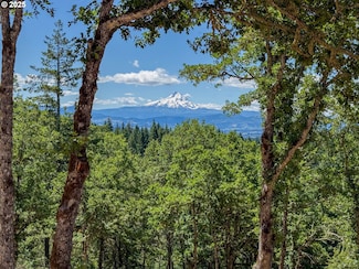 34 Jewett Creek Loop Rd, White Salmon, WA 98672