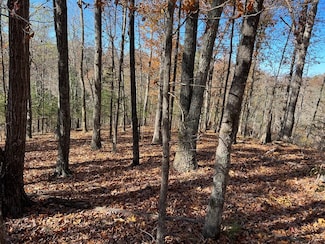 0 Old Hwy 53 S Unit RTC2980965, Celina, TN 38551