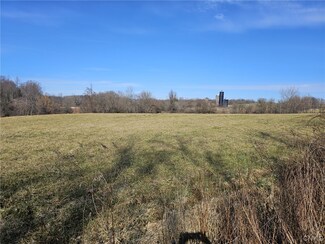 Lot 9 Ryan Rd, Brutus, NY 13166