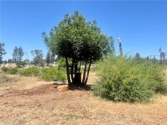 5733 Copeland Rd, Paradise, CA 95969
