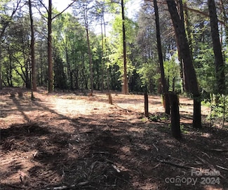 7741 Marlette Ln, Sherrills Ford, NC 28673