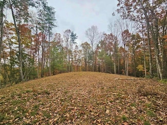 700 Ellison School Rd, Camp Creek, WV 25820