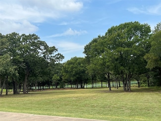 1121 Crystal Lake Dr, Wills Point, TX 75169