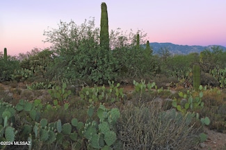 11876 N Vista Del Sol Unit 21, Oro Valley, AZ 85742