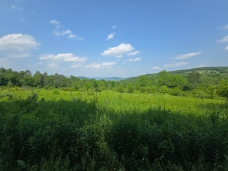0WP Town Line Rd, McGraw, NY 13101