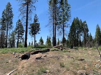 1 Shaver Lake, Auberry, CA 93602