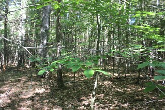 0 Ivy Cir Unit 1239259, Limerick, ME 04048