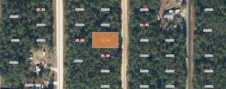 25-09-24-4075-0650-0 Del Monaco Ave, Interlachen, FL 32148