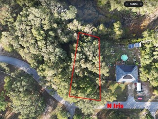 6406 N Iris Dr, Hernando, FL 34442