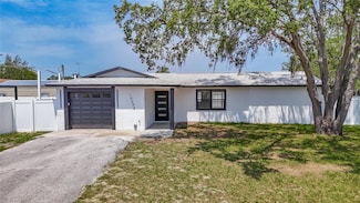 10006 N Connechusett Rd, Tampa, FL 33617