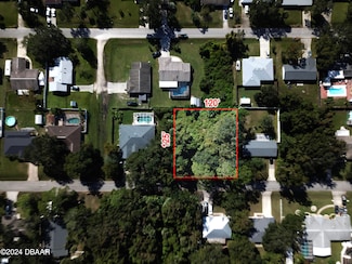 3224 Needle Palm Dr, Edgewater, FL 32141