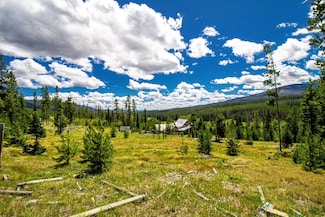 1215 Willow Creek Rd, Philipsburg, MT 59858