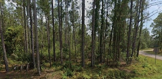 6450 Merrick Dr, Sebring, FL 33872
