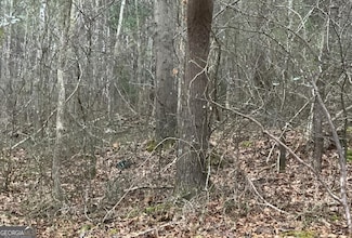 280 Nixon St, Summerville, GA 30746