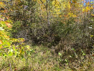 M3L25 U S Route 2, Passadumkeag, ME 04475