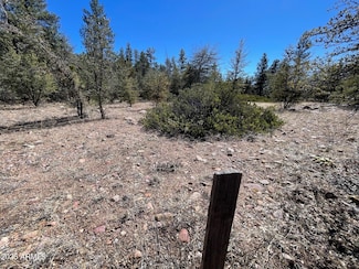 194 S Freds Rd, Young, AZ 85554