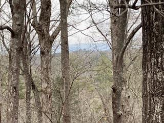 LT 218 Lemmon Ln, Ellijay, GA 30540