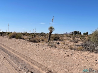 XXXX Rivera Rd SW, Deming, NM 88030