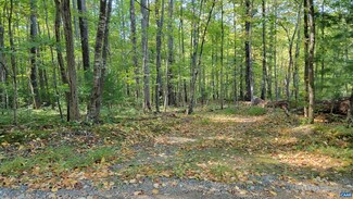 35-1-17 Windy Knoll Ln, Stanardsville, VA 22973